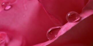 Czy wilgotność zależy od temperatury?