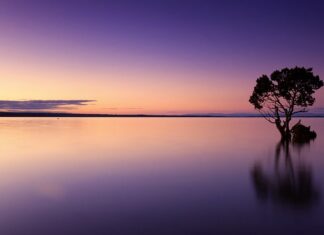 Ile wody jest w benzynie?