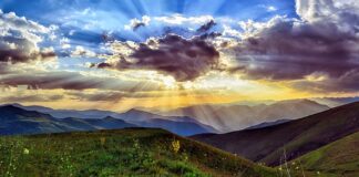 Co osusza powietrze?