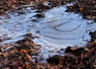 Co dodać do paliwa żeby nie zamarzła?