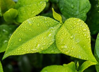 Po czym poznać że w domu jest wilgoć?