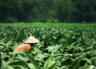 Jakie światła dodatkowe do motocykla?