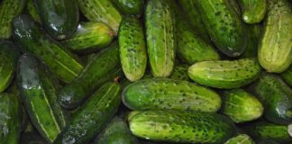 Czy przycinać pędy ogórków?