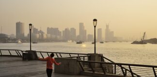 Czy pasażer na motorze może być pod wpływem alkoholu?