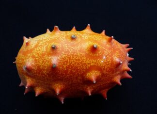 Czy ogórek ma dużo żelaza?